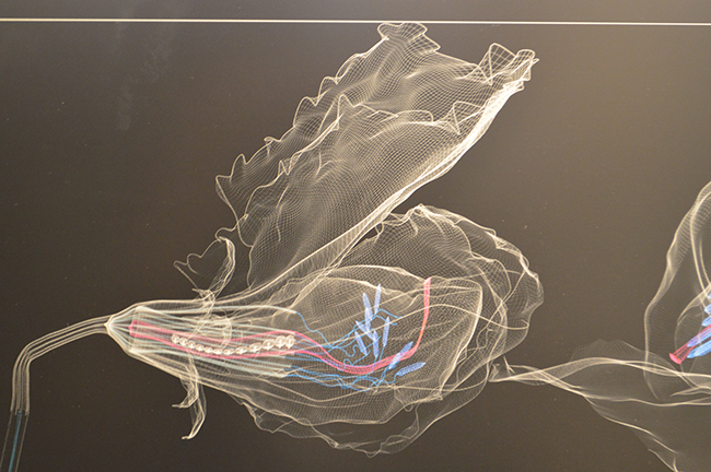 The essence of digital beauty